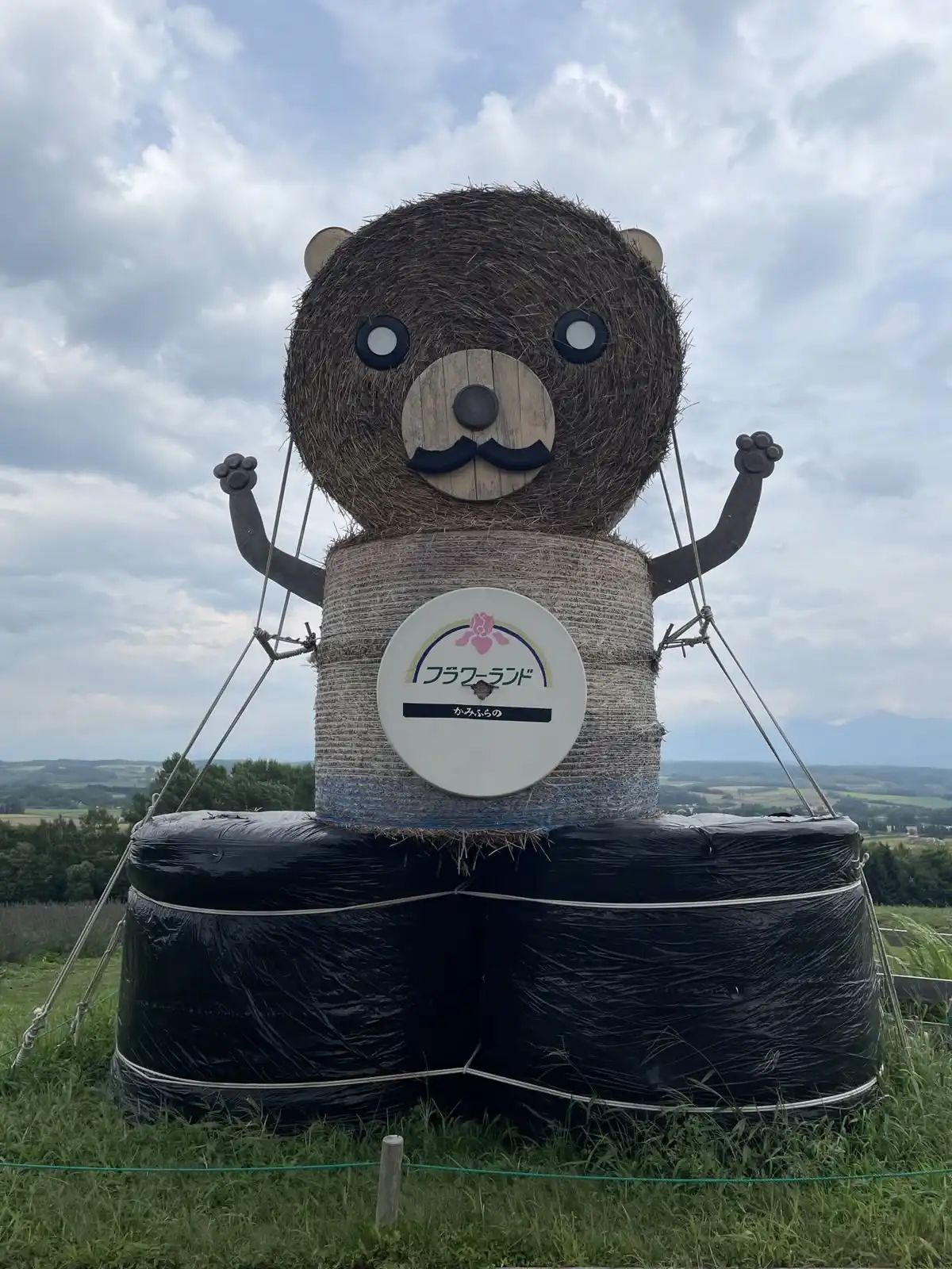bear.