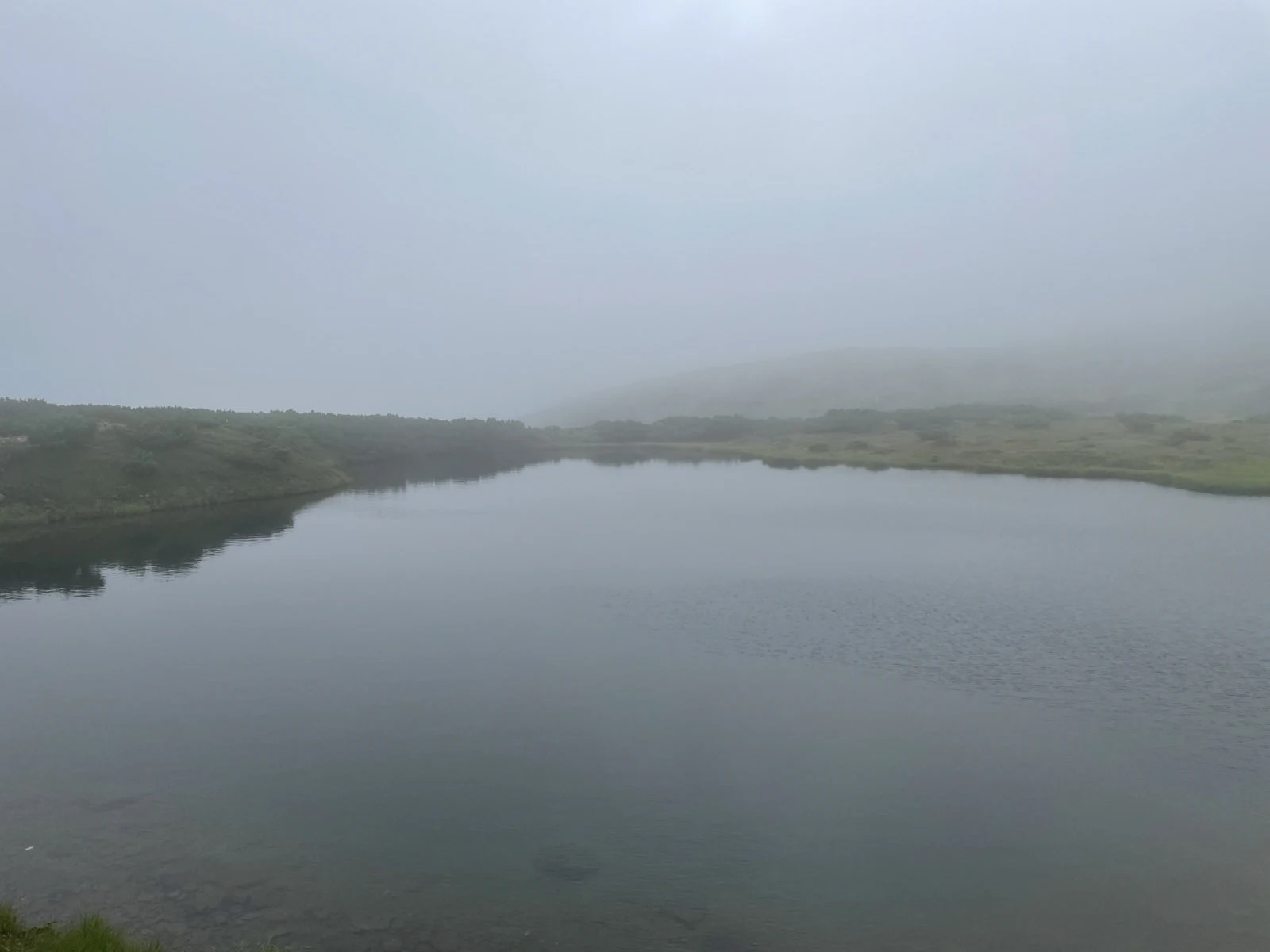 mistypond.