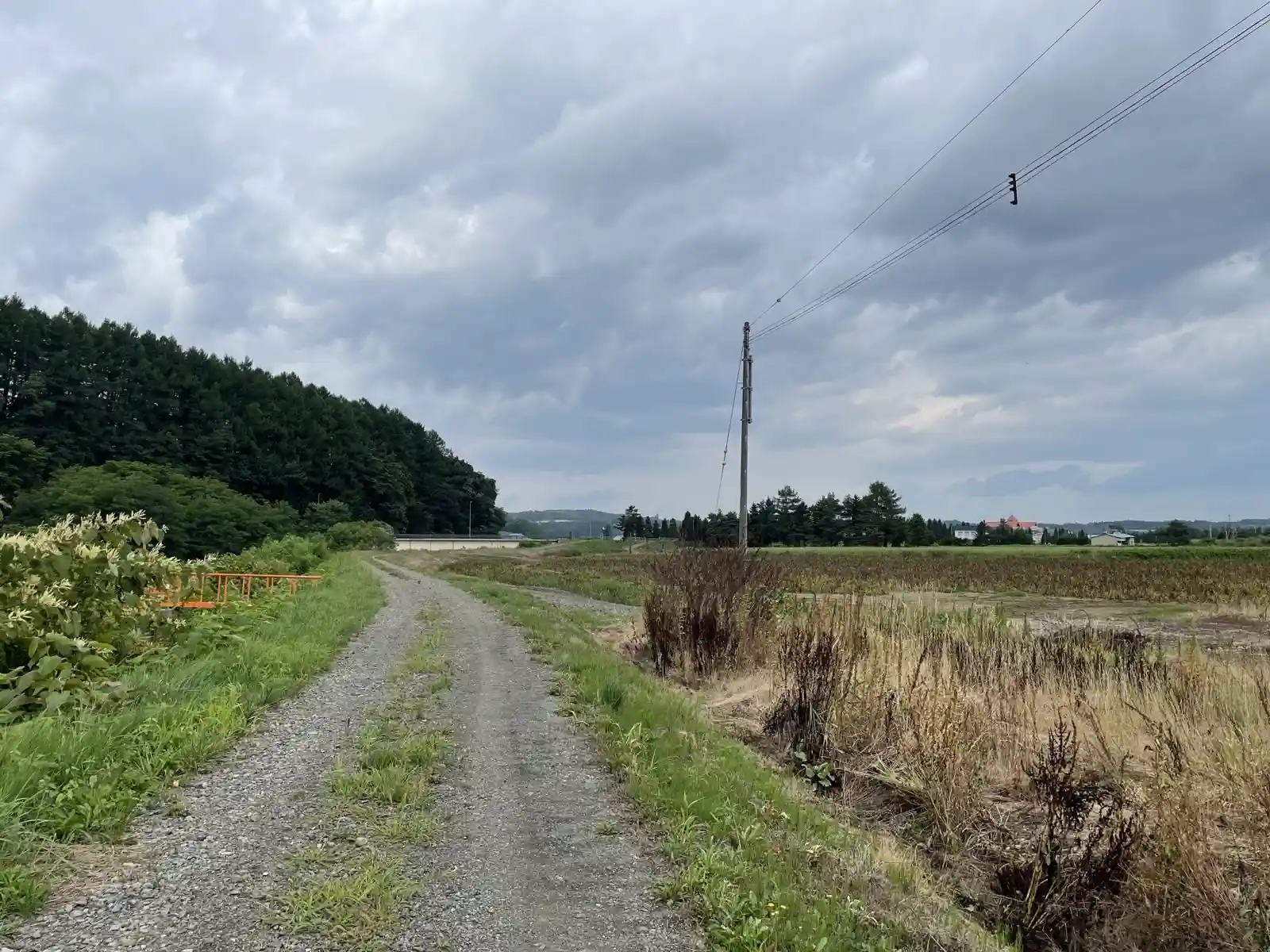 road.