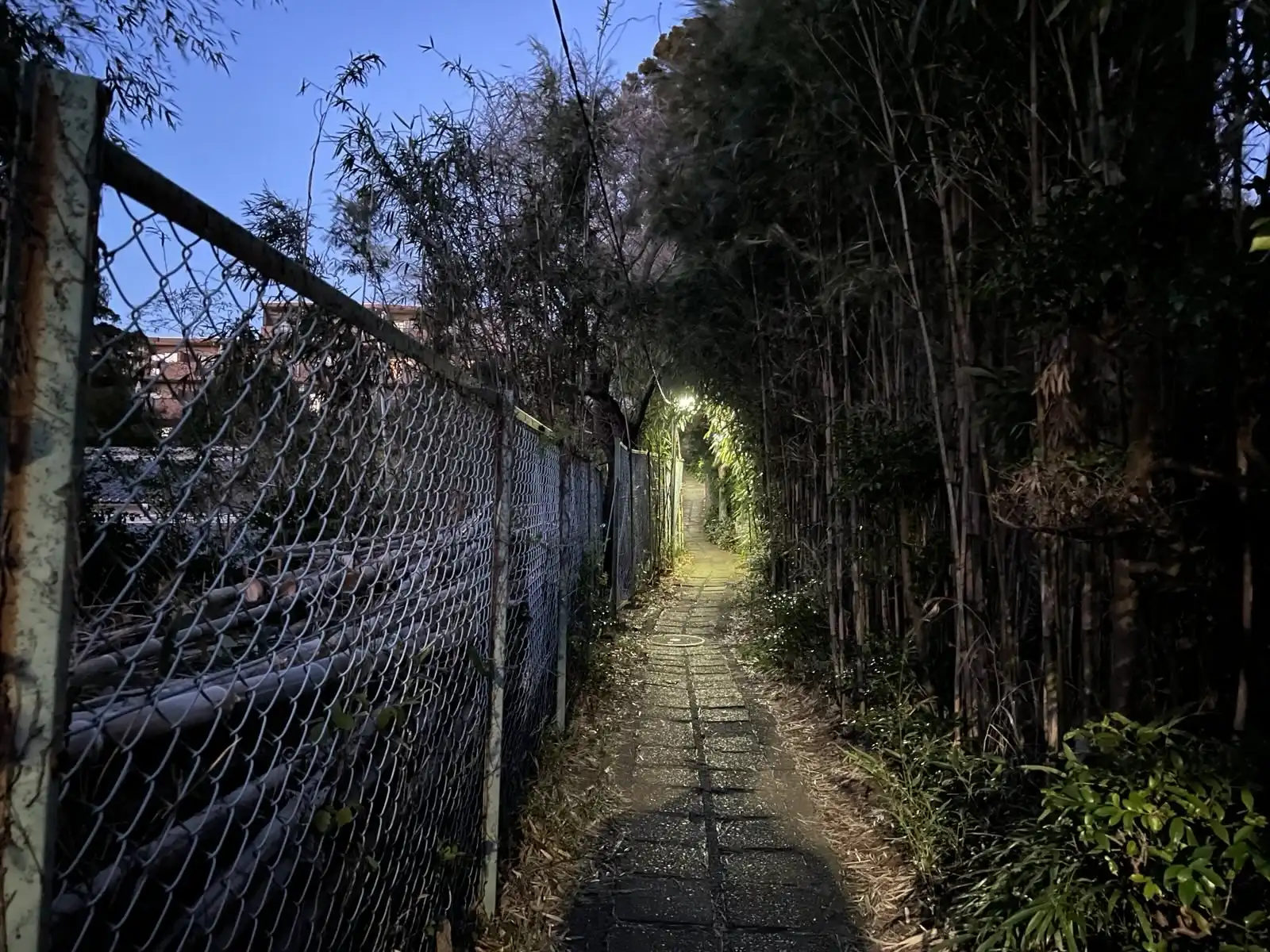 path.