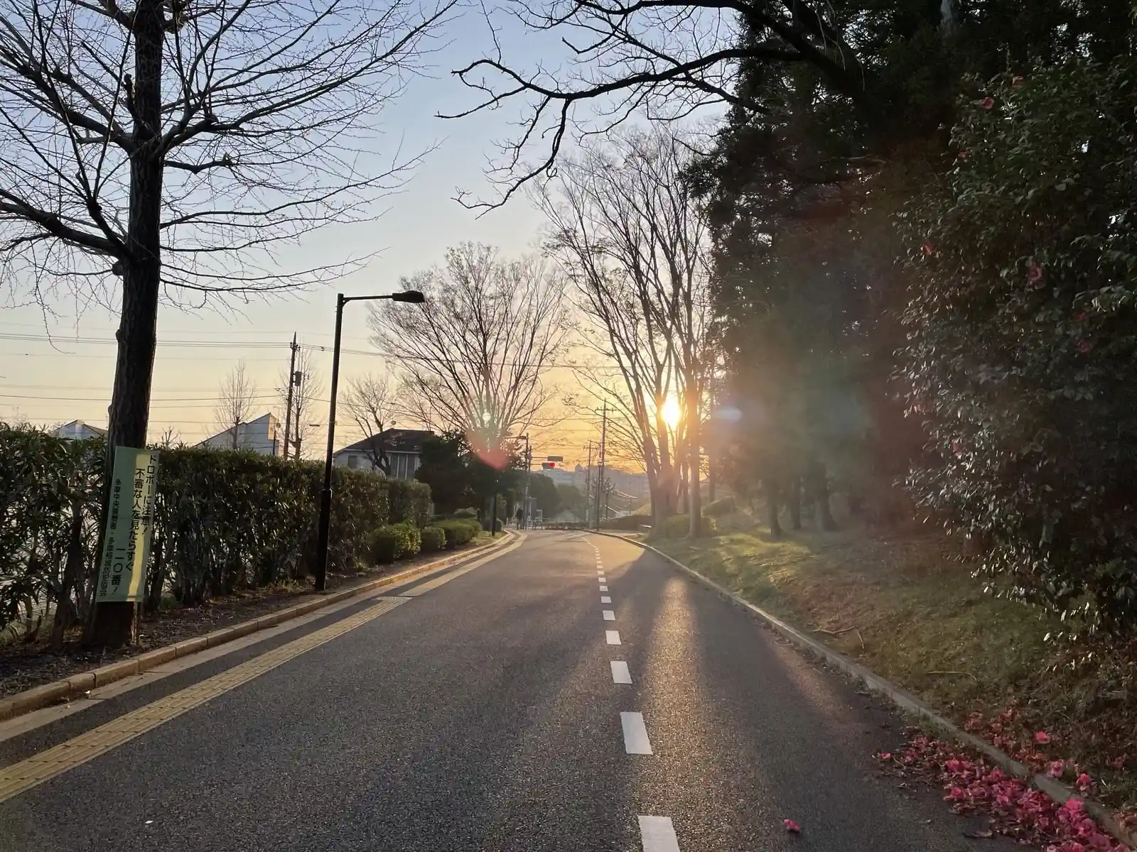 sunrise.