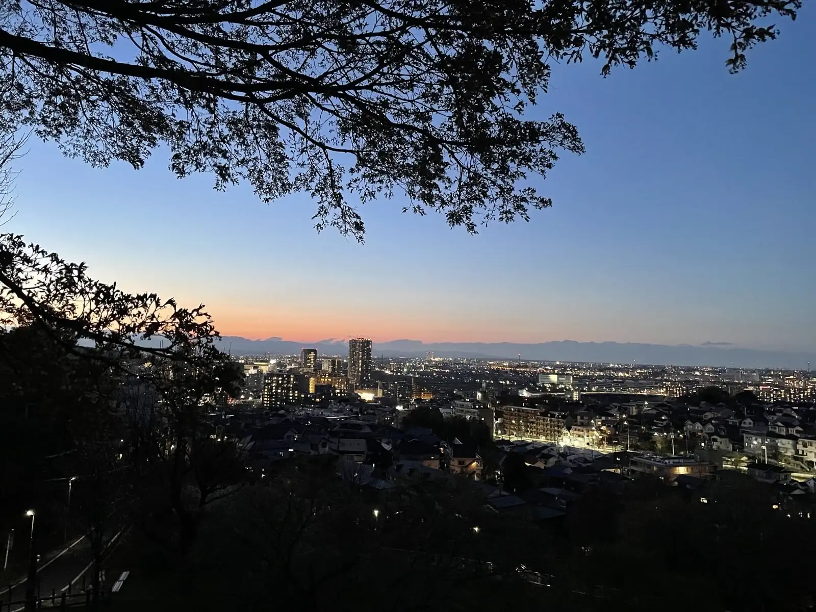 sunset.
