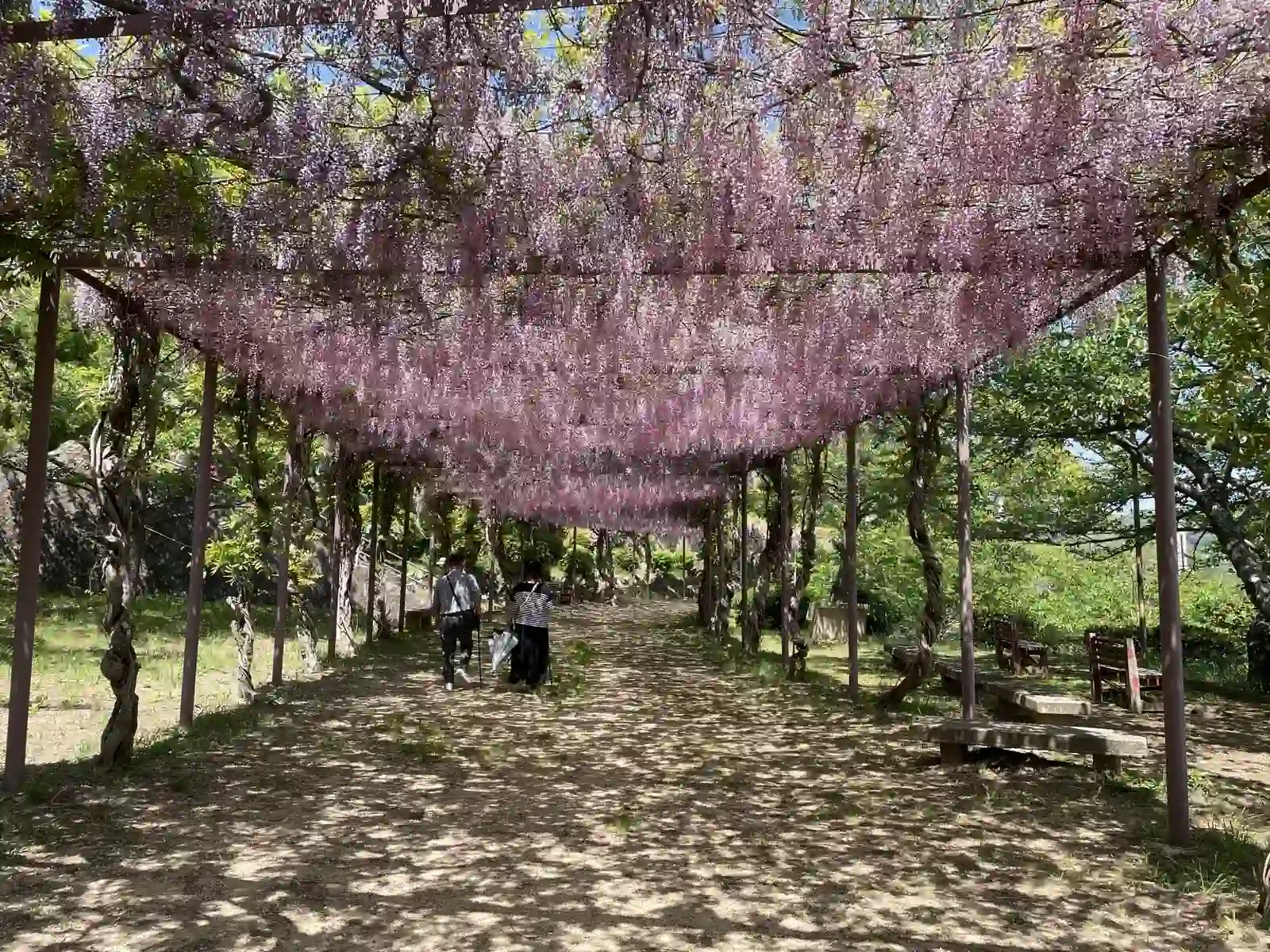 flowers.