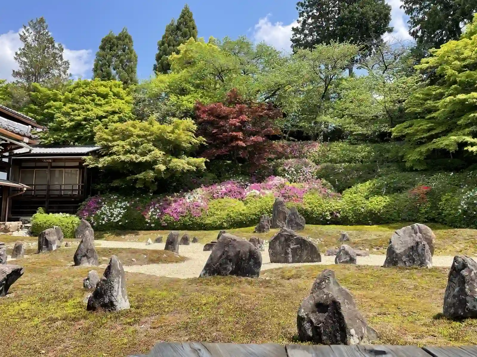 garden.