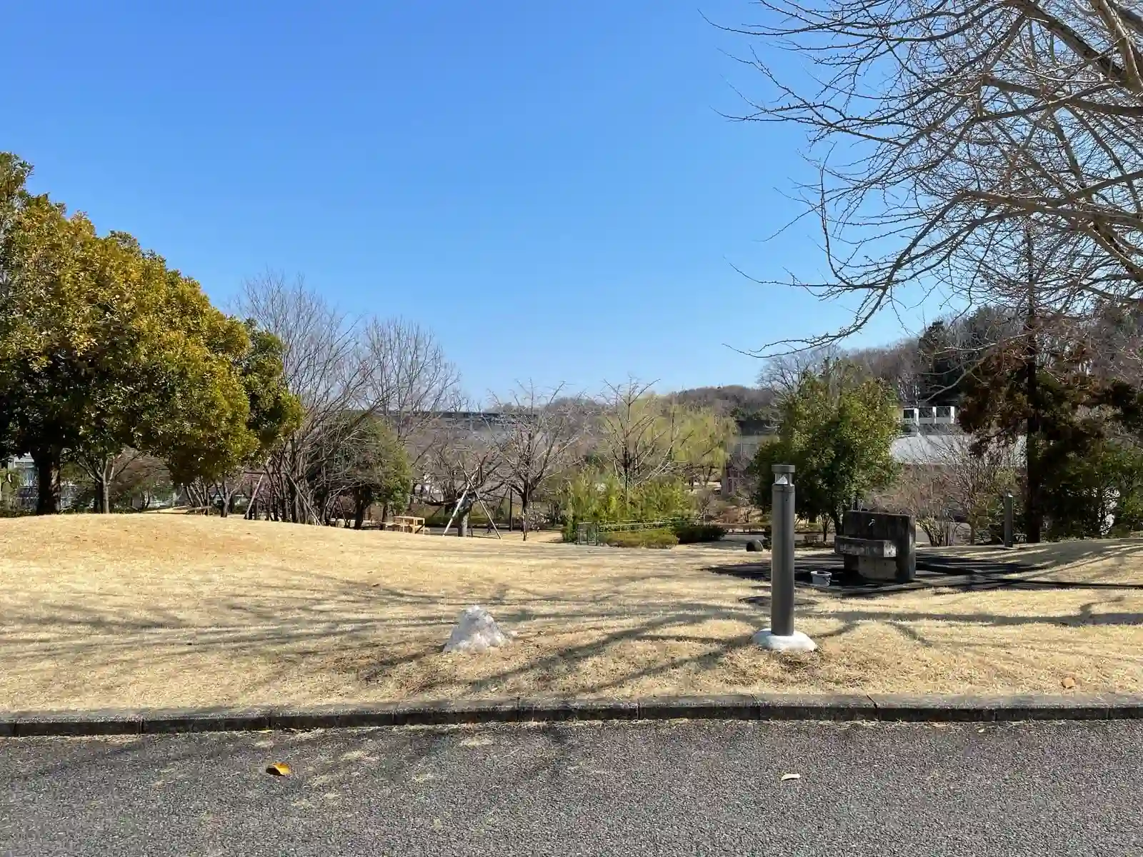 Tamabi campus view.