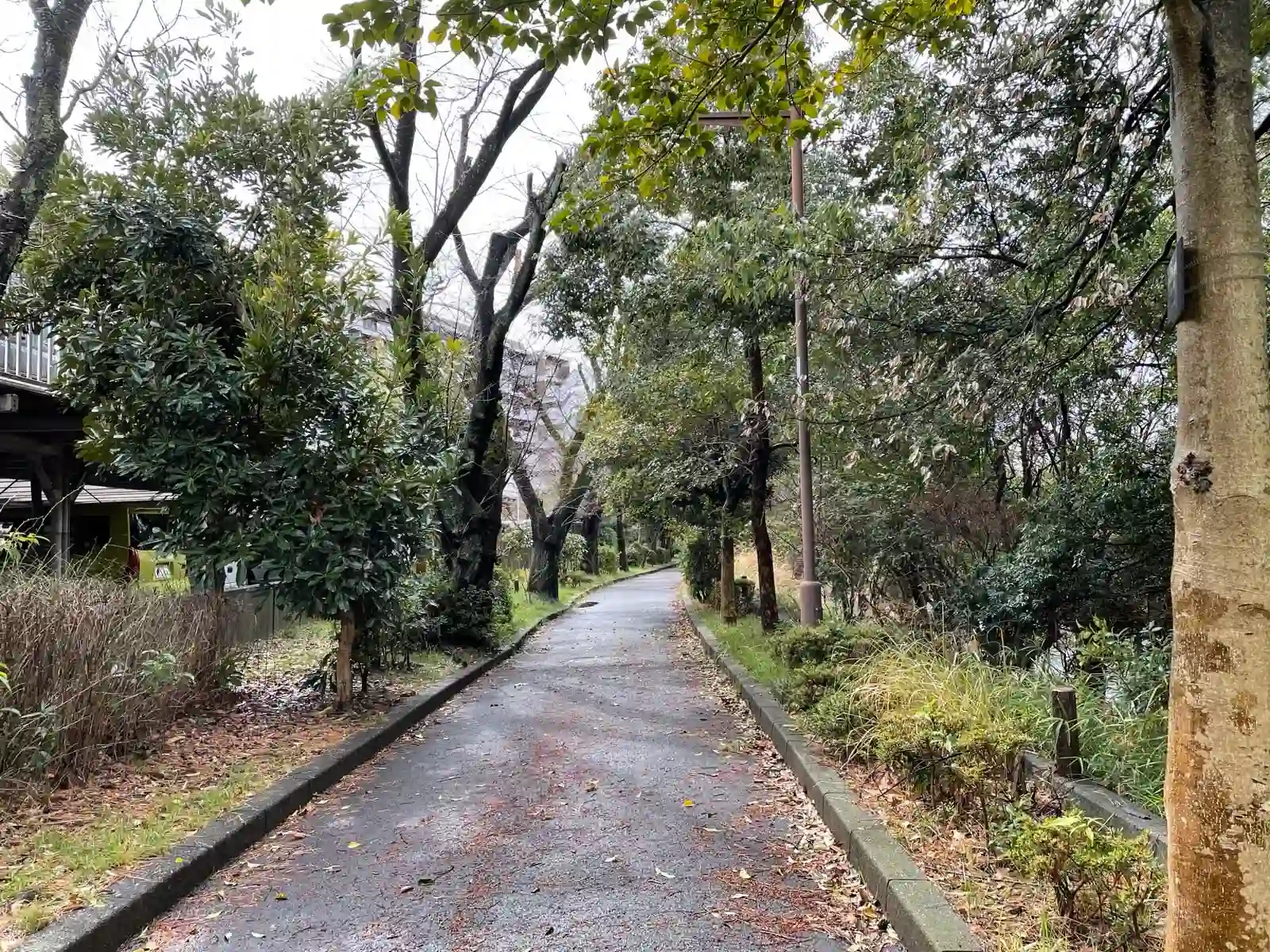 Green path