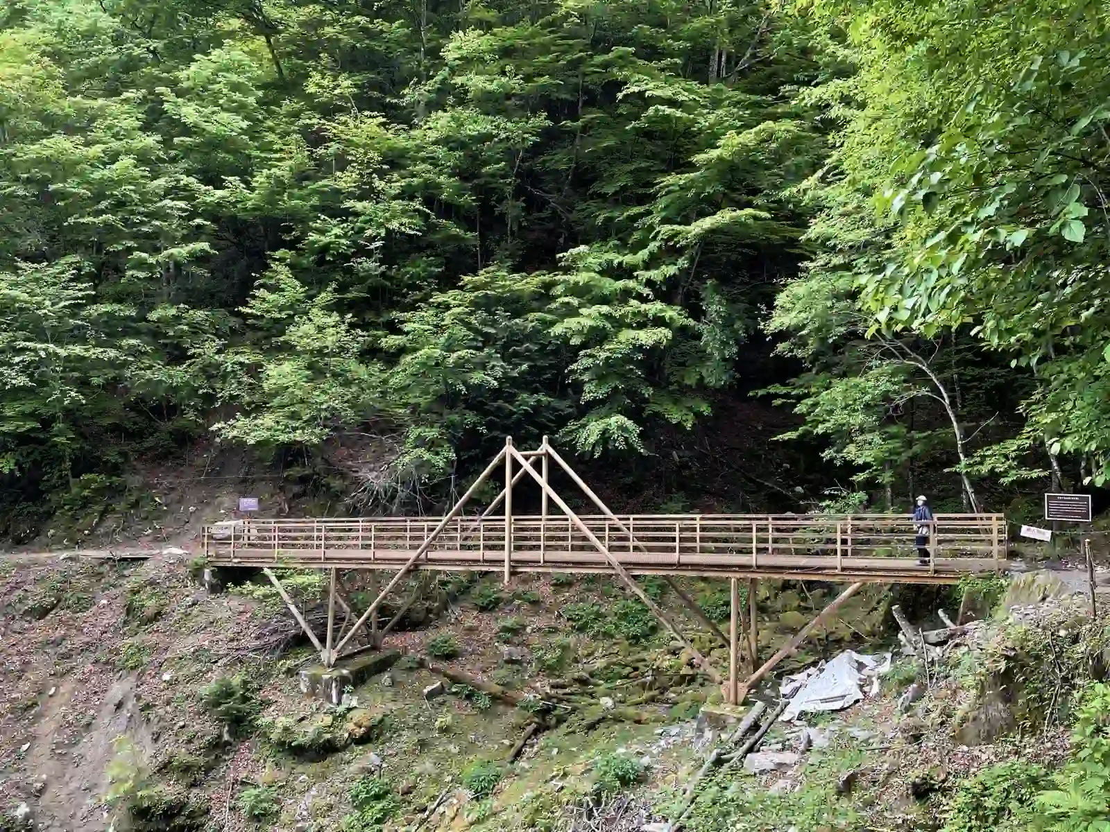 bridge2.