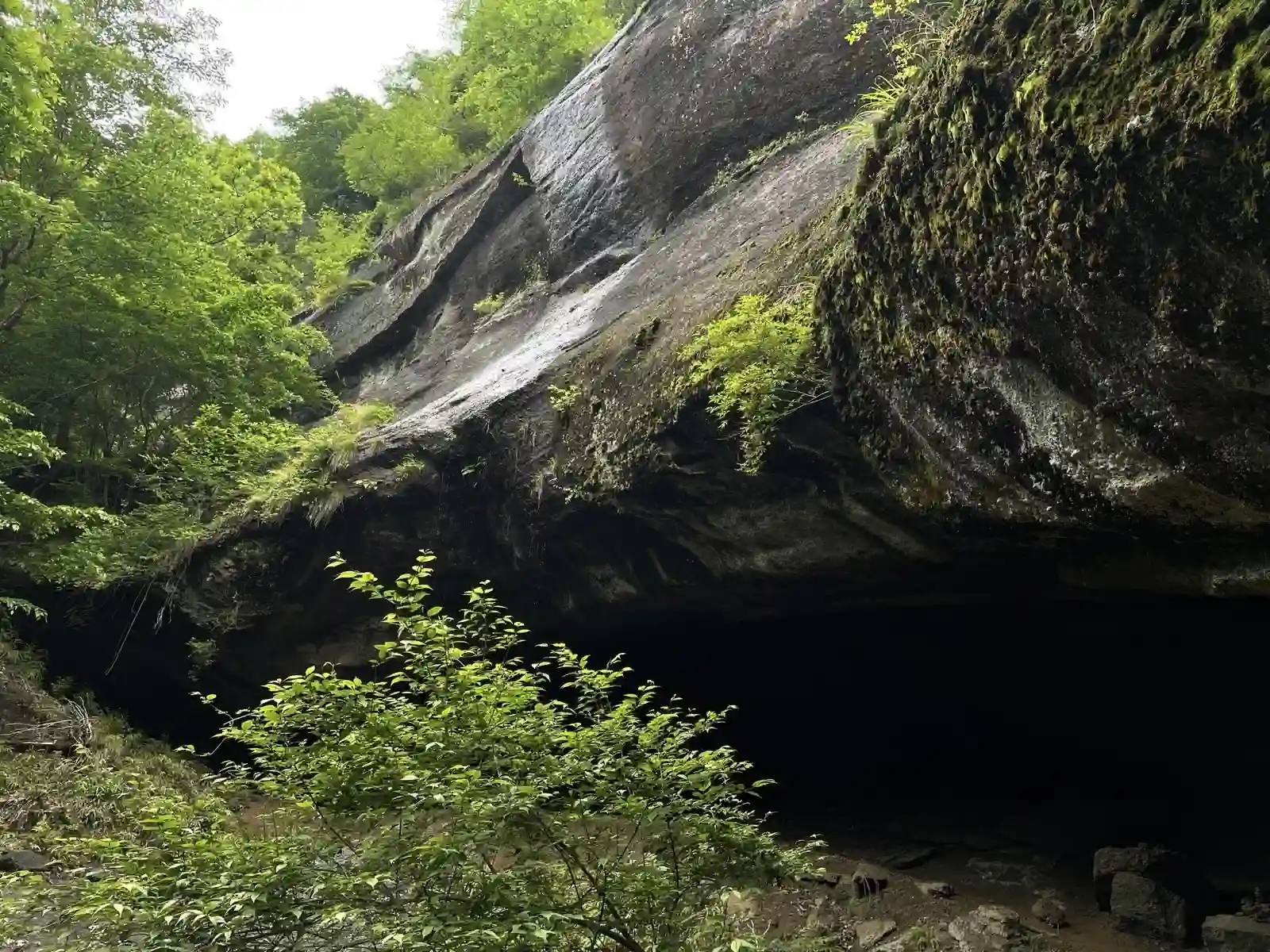 caveout.