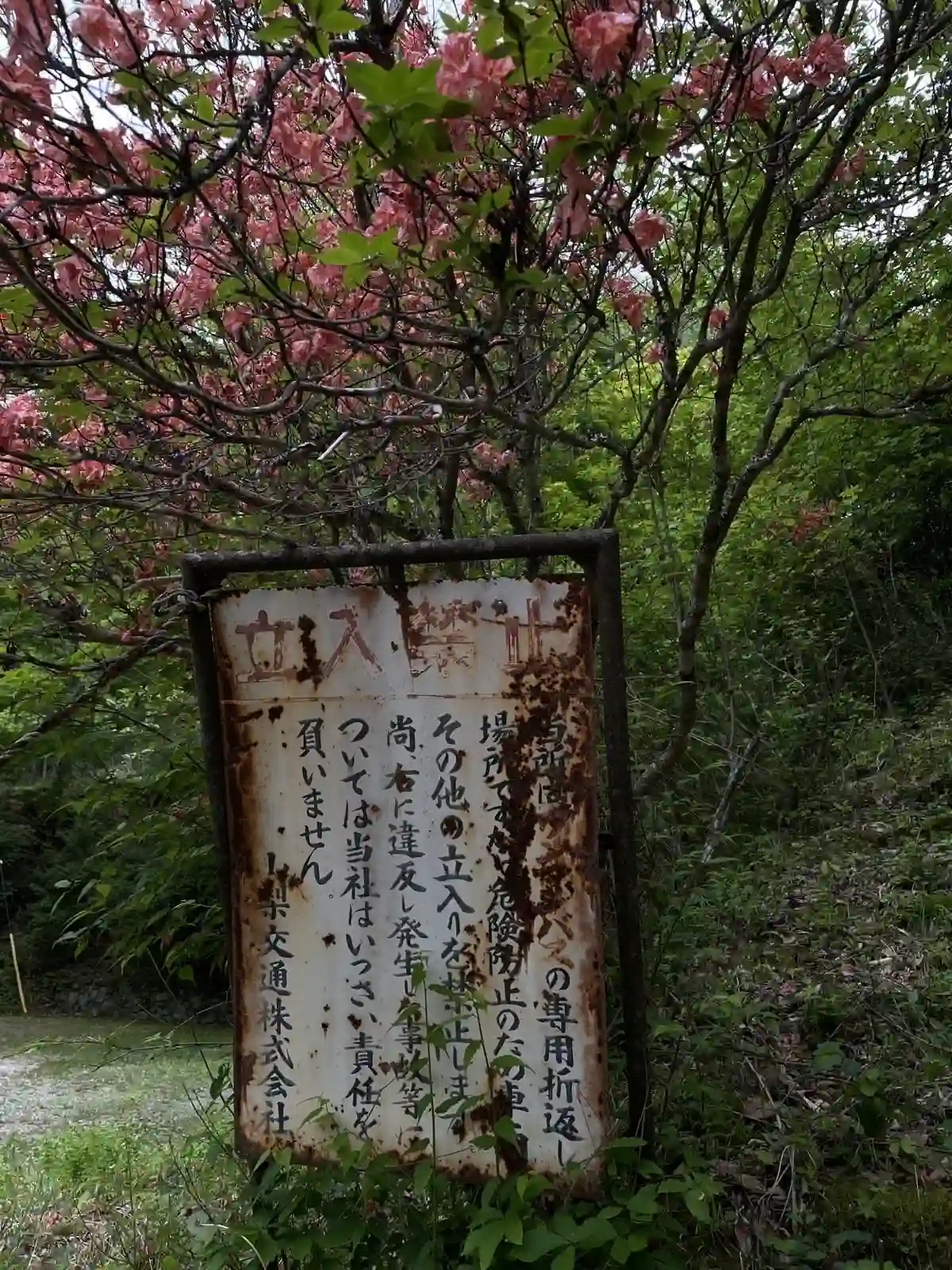 givemeasign.
