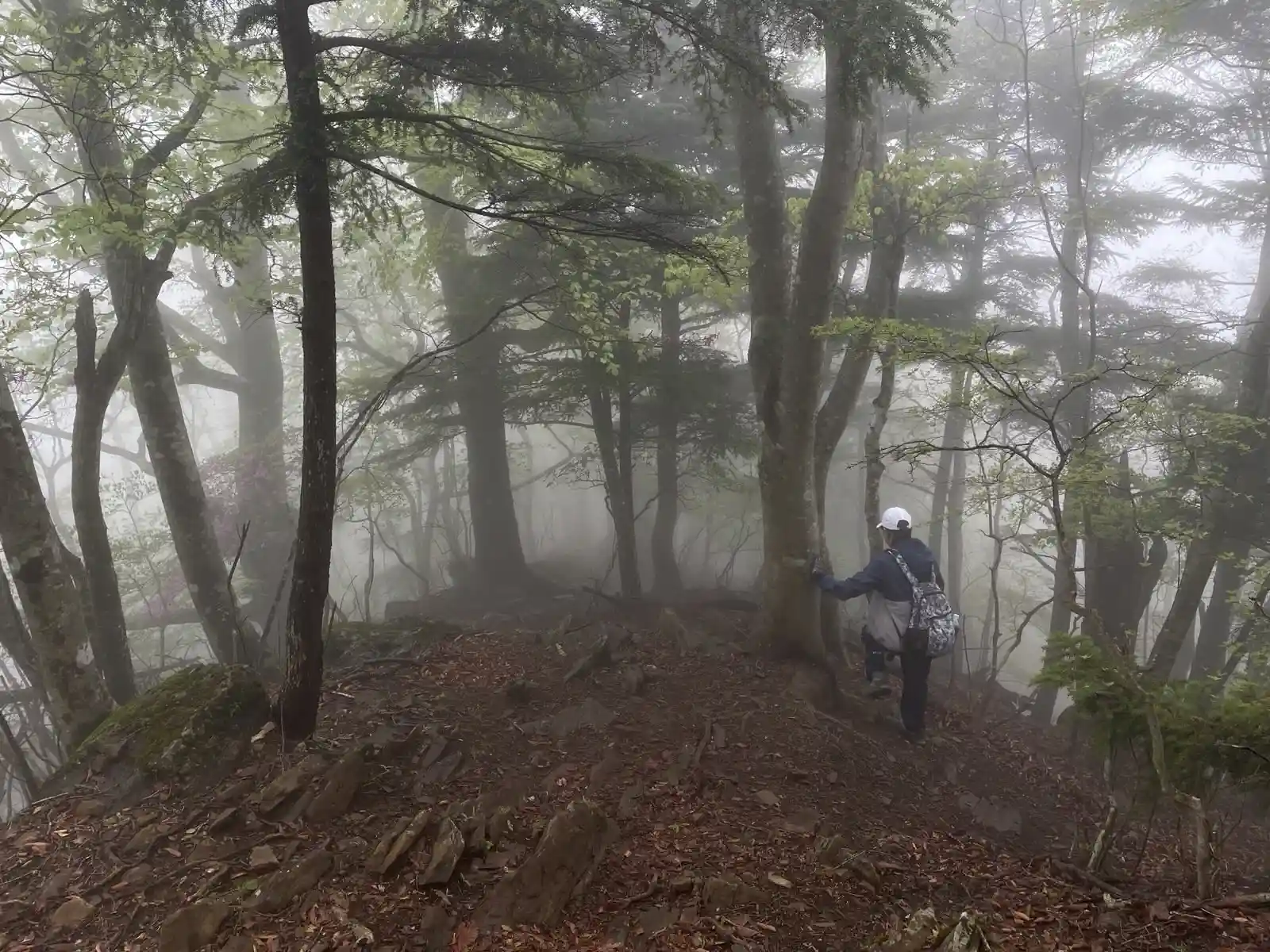 mist12.