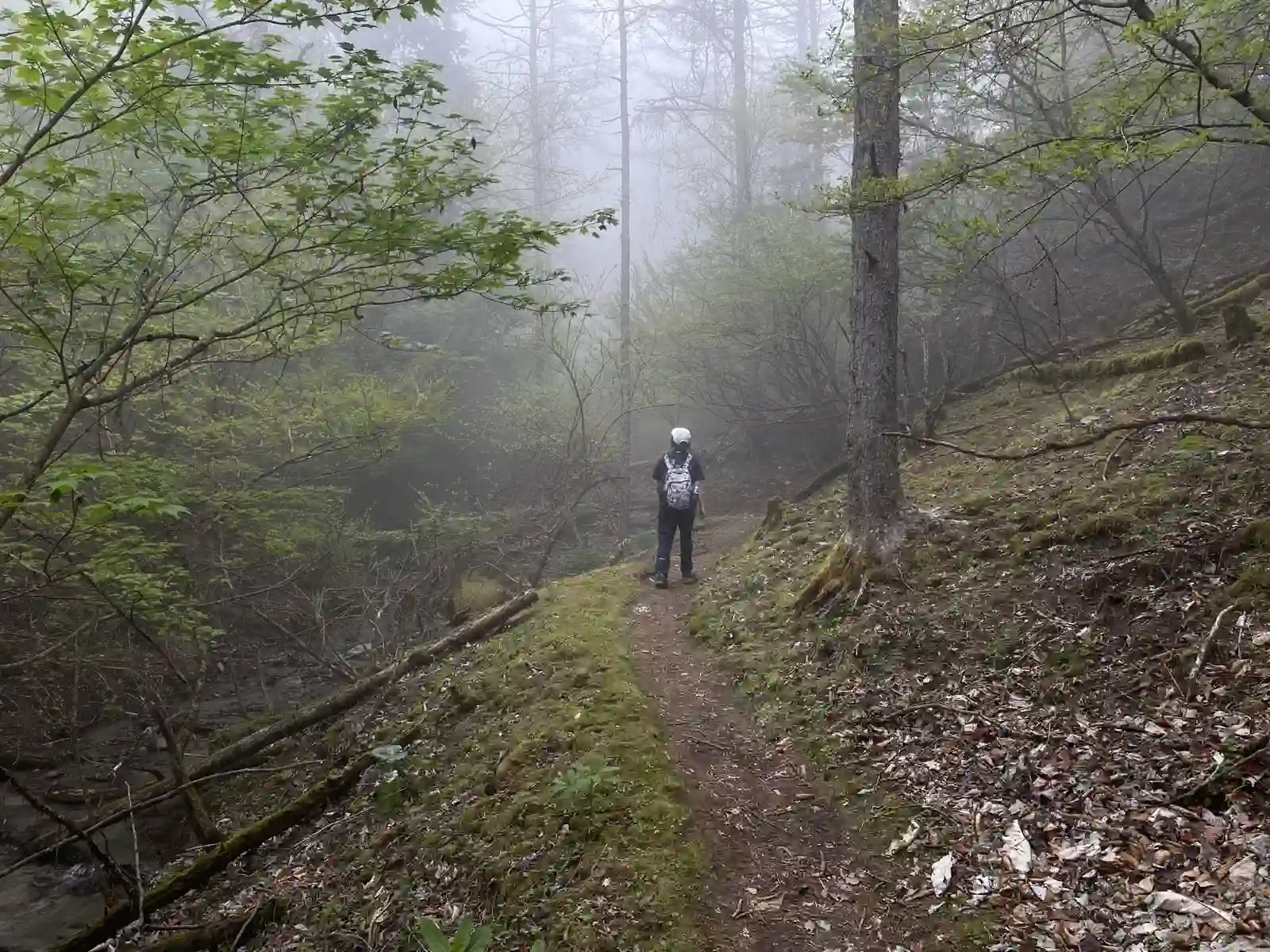 mist4.