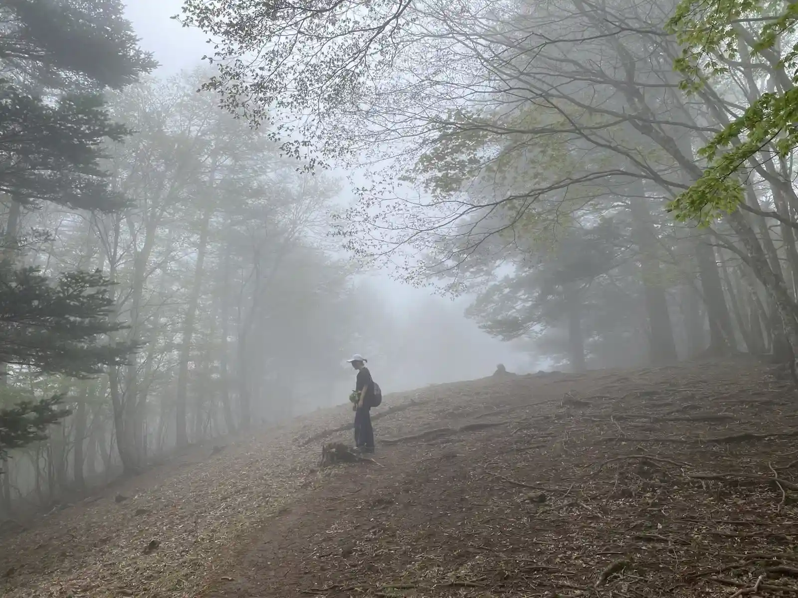mist5.