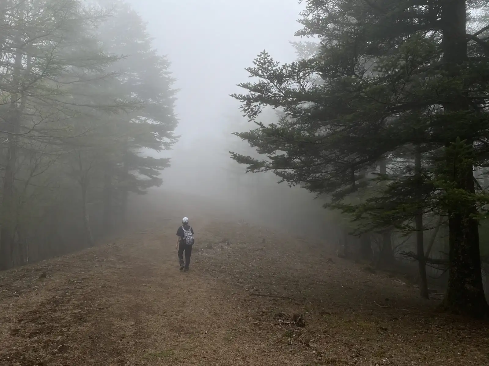 mist6.