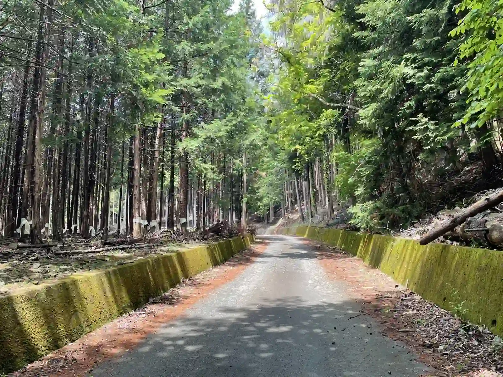 road.