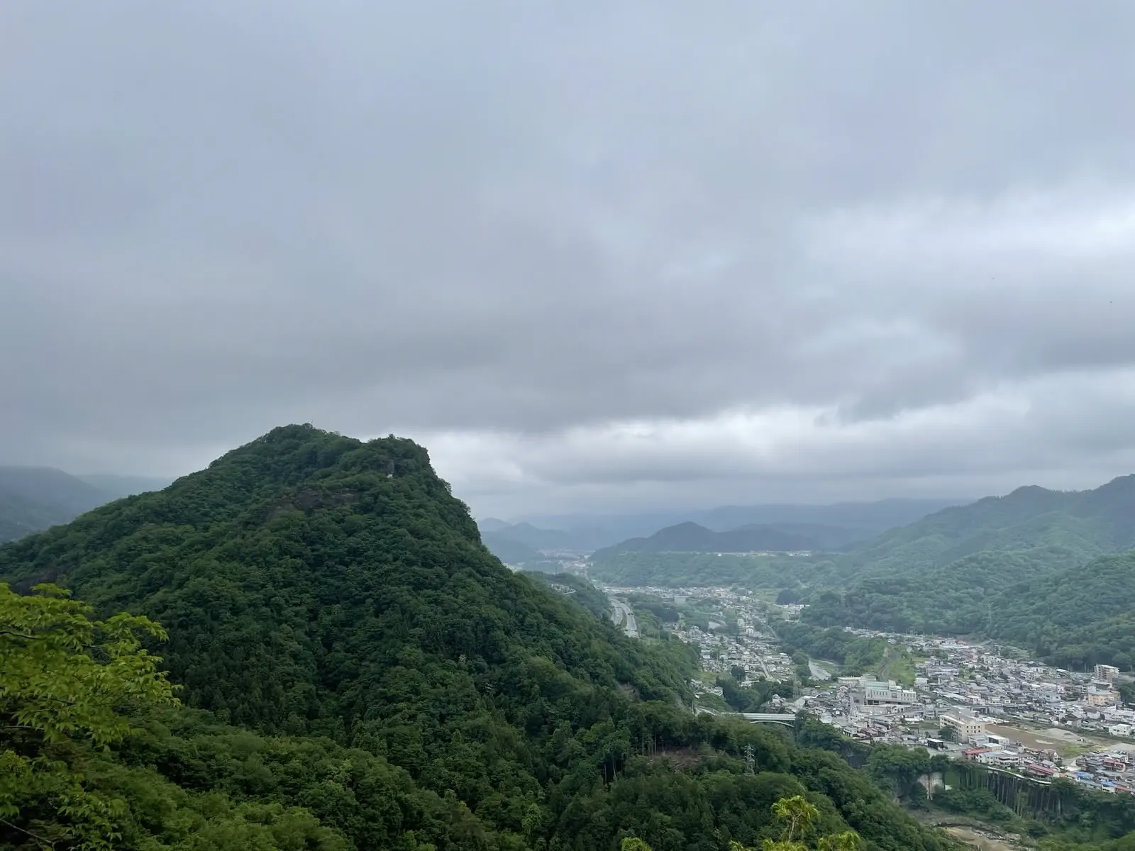 topviews.