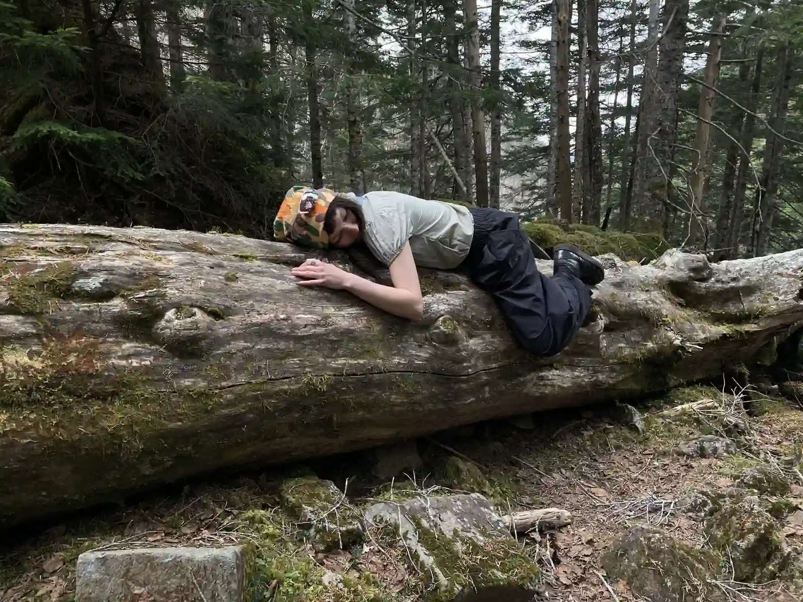 treehugger.