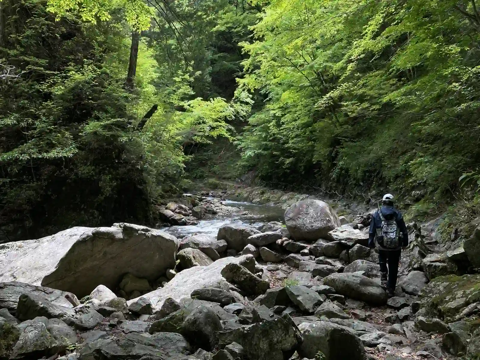 walk.