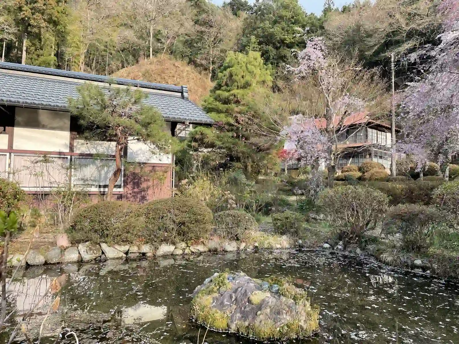 jinbapond.