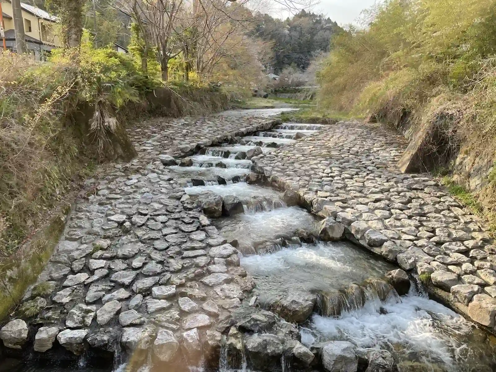 jinbariver.