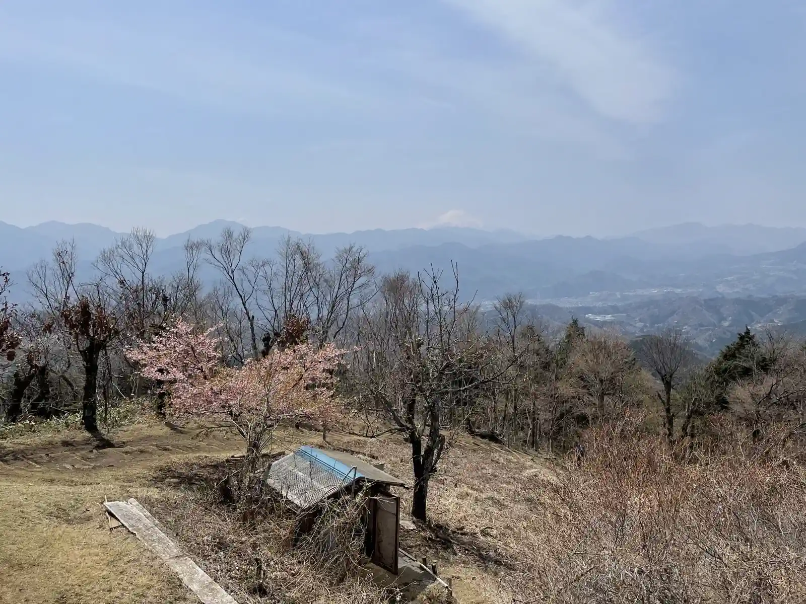 jinbatop.