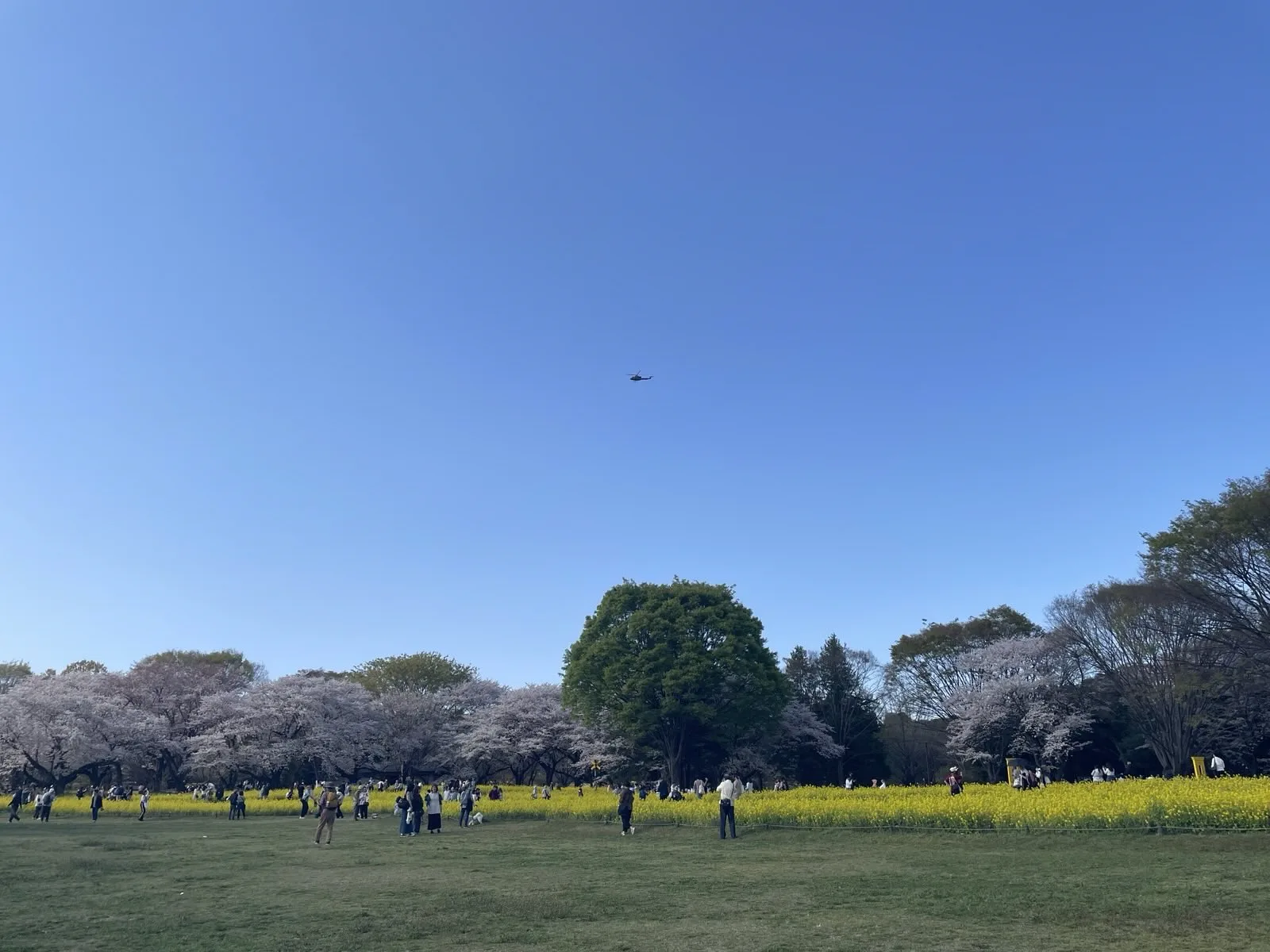 parkheli.