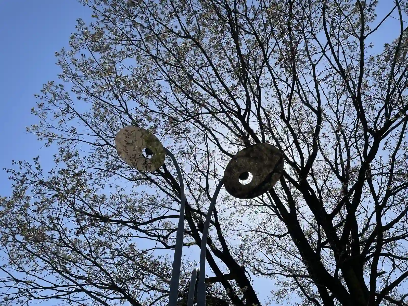 parkmirror.