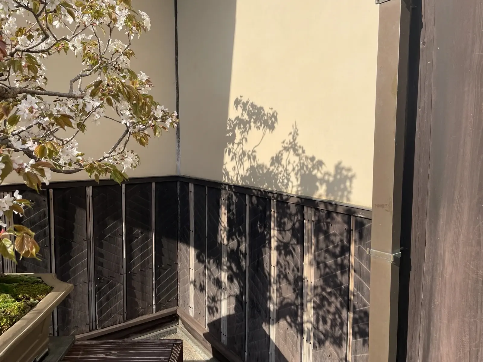 parkshadow.