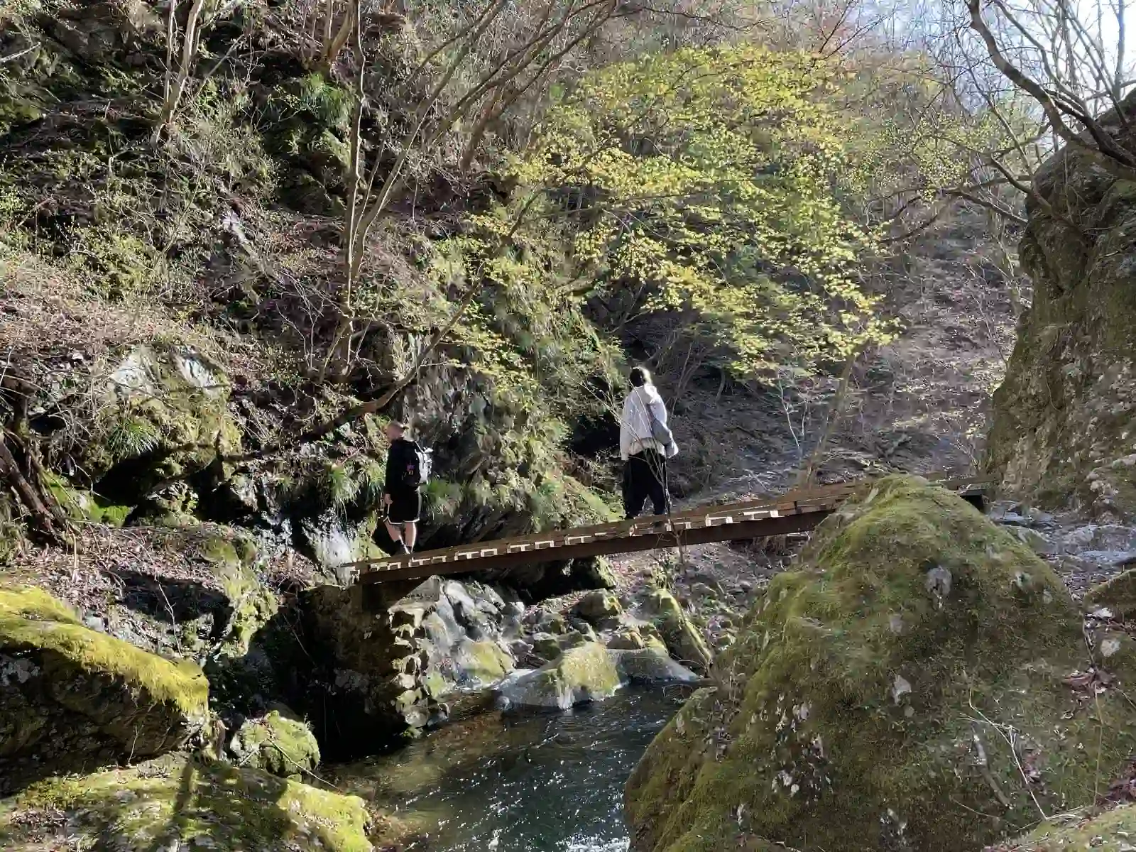 bridge.
