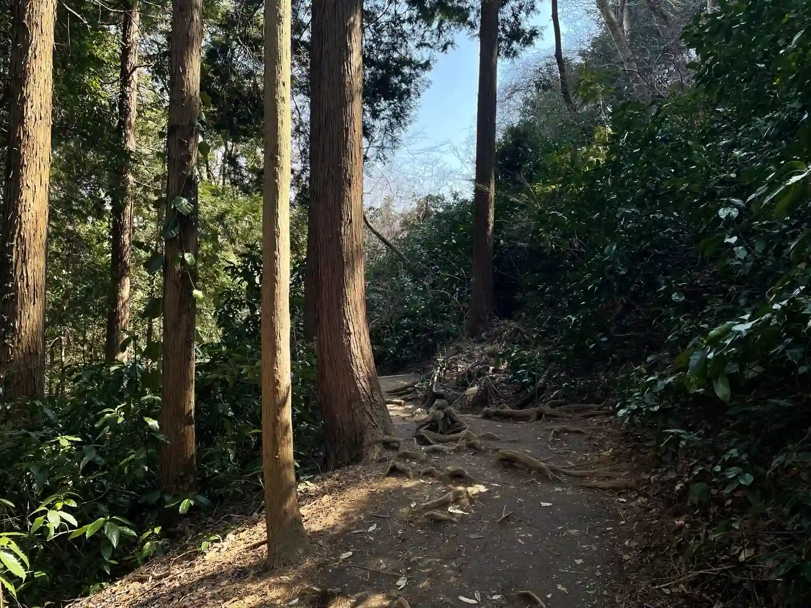 Hiking down, no people.