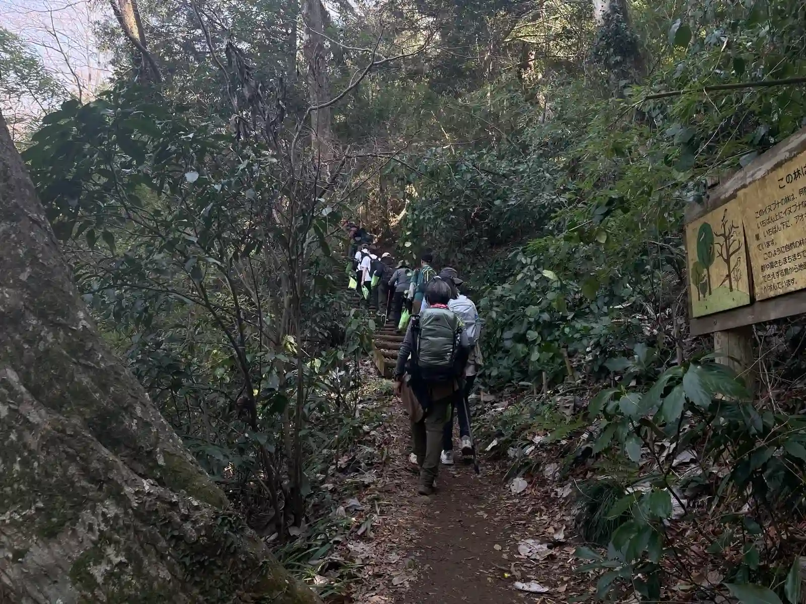 Hiking down, people.