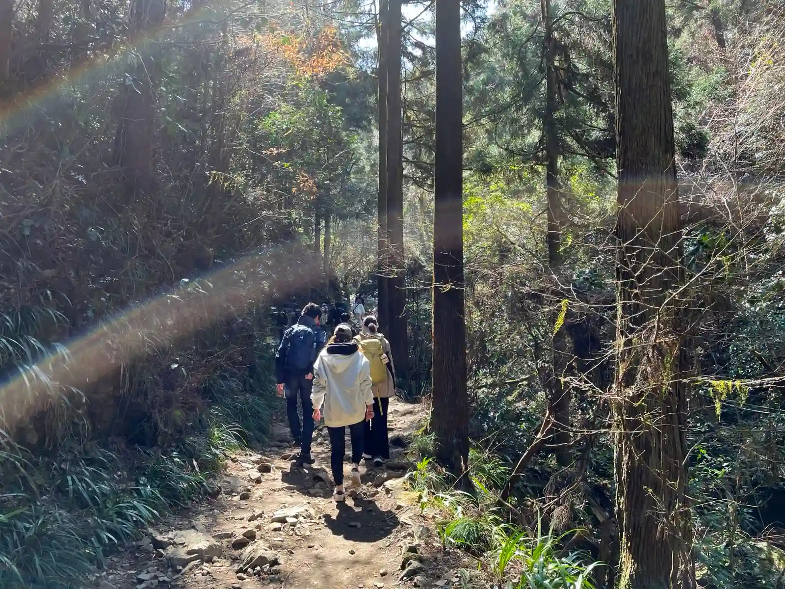 Hiking with people.