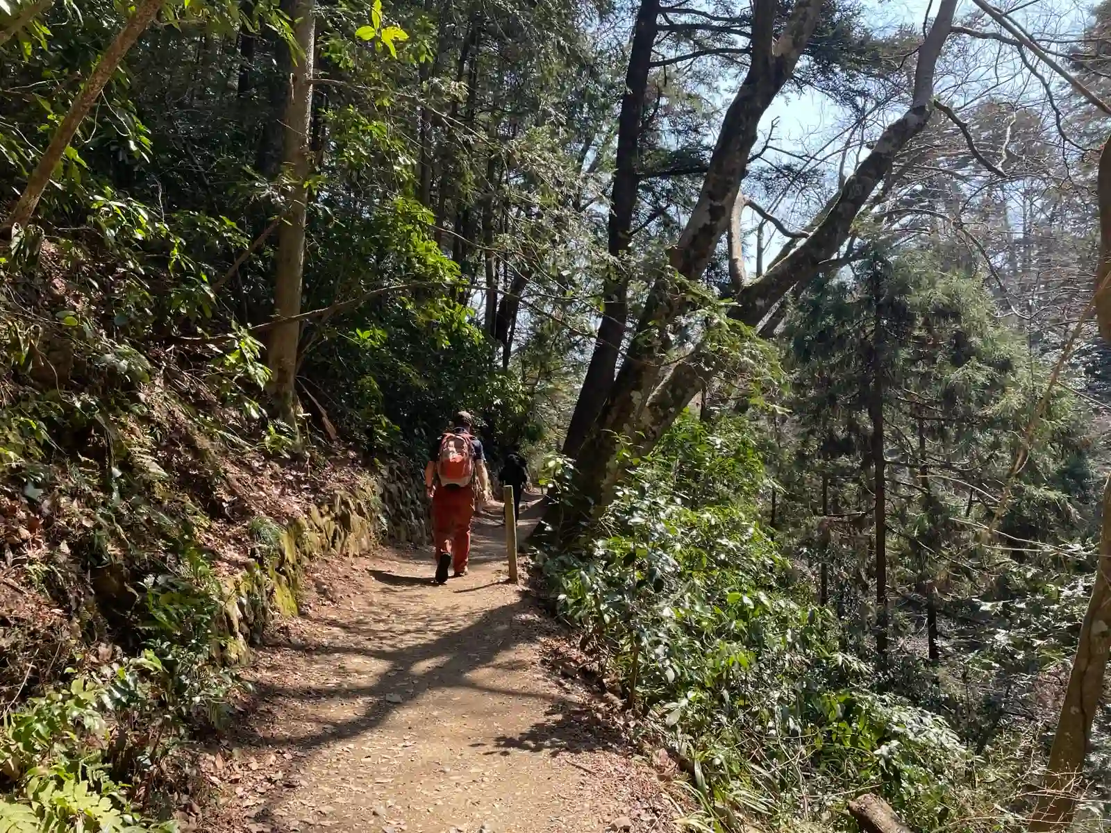 Hiking a ridge with people.