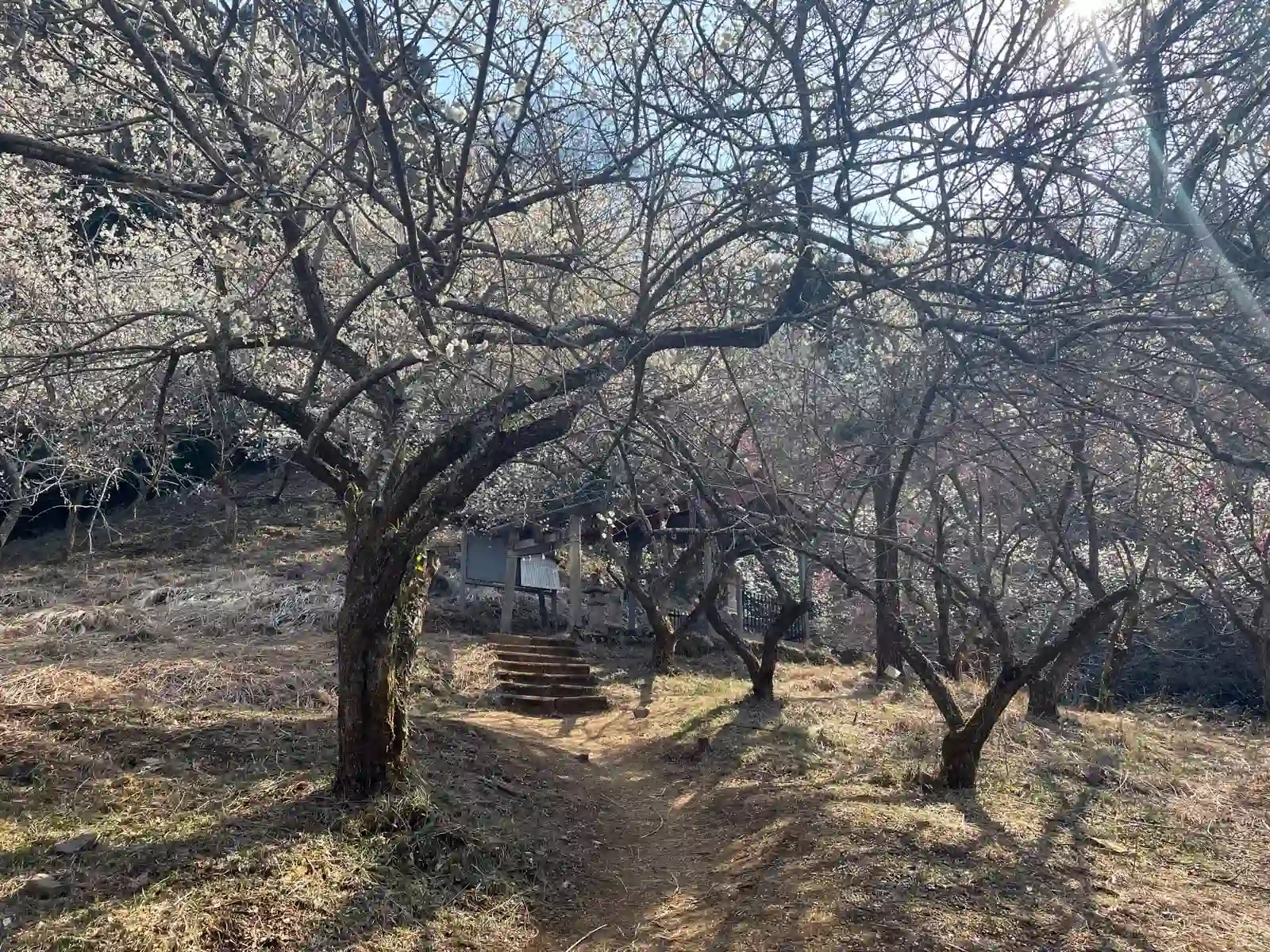Valley shrine.