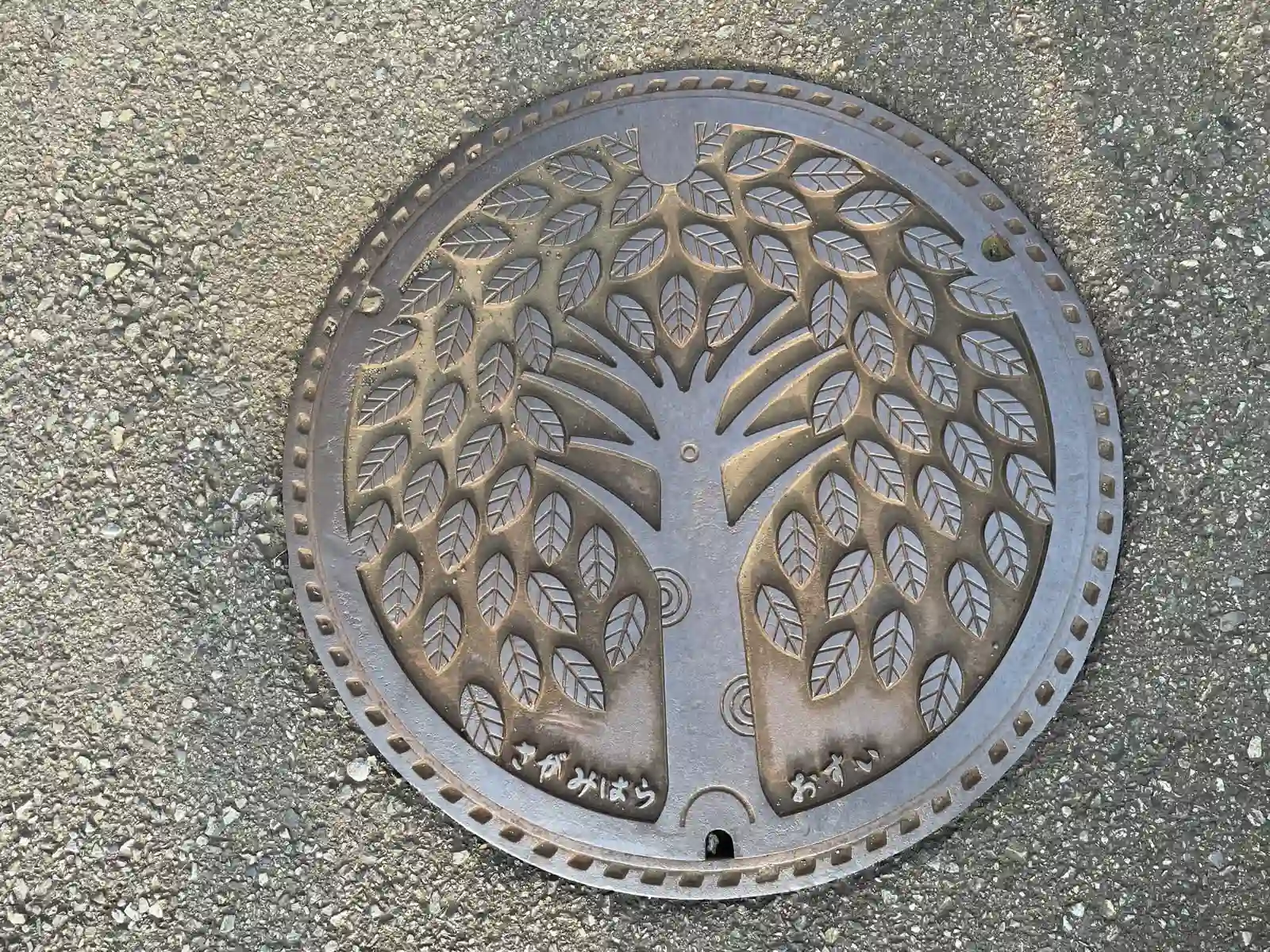 Sewer cover.