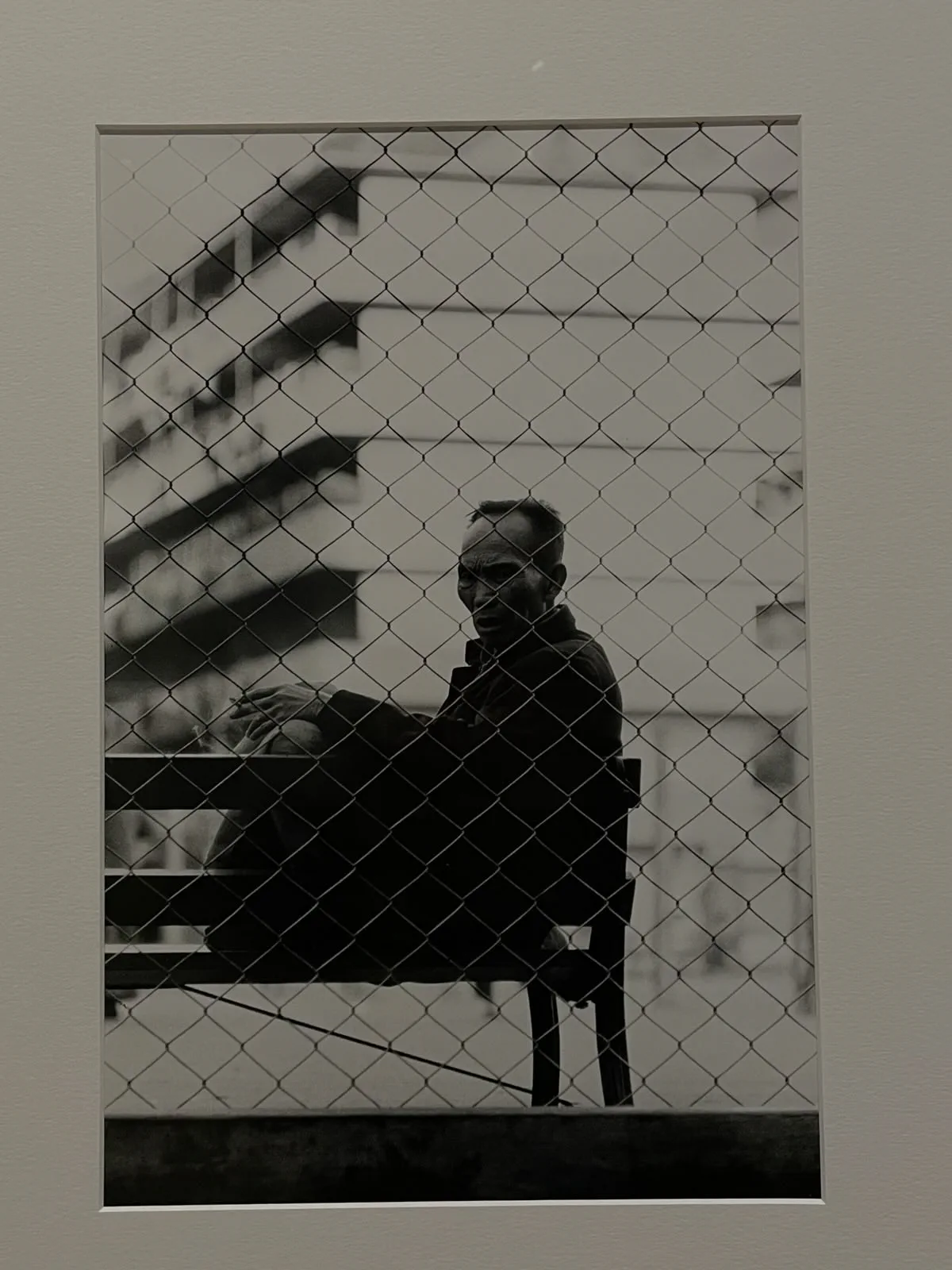 photo_fence.